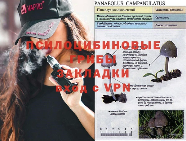герыч Алзамай